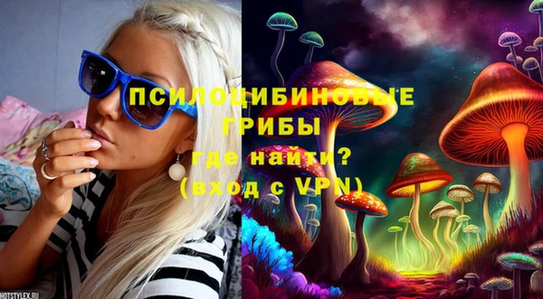 мескалин Алексин