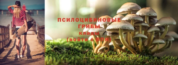 амф Алзамай