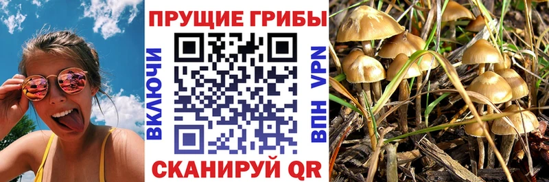 Псилоцибиновые грибы MAGIC MUSHROOMS Шацк