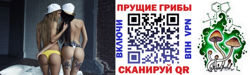 Галлюциногенные грибы Magic Shrooms  Шацк 